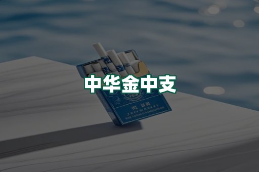 中华金中支